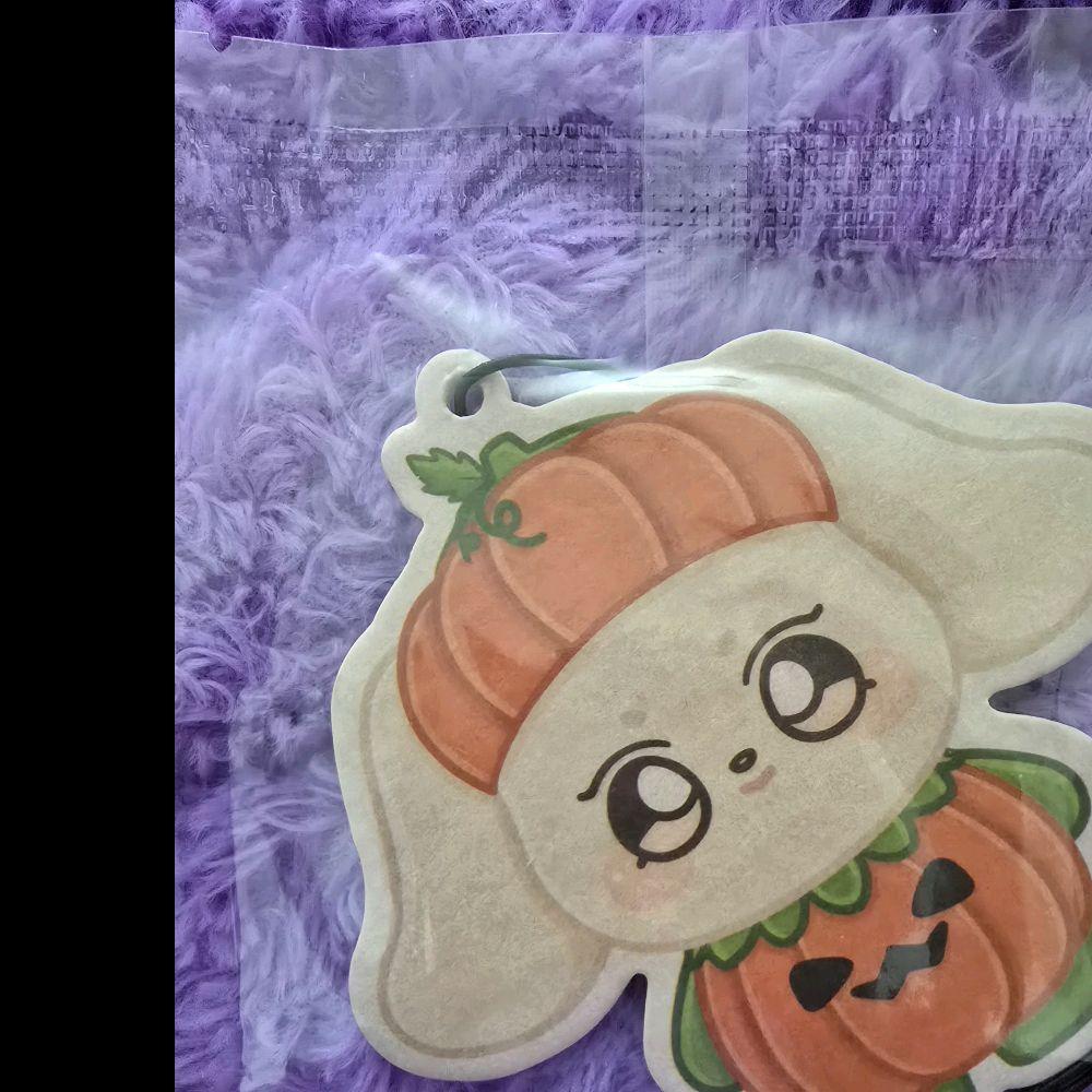 Kpop Theme Eco-Friendly Car Air Fresheners with upto 2+ Week Scents Reusable Absorbent Paper for Cars and Living Areas