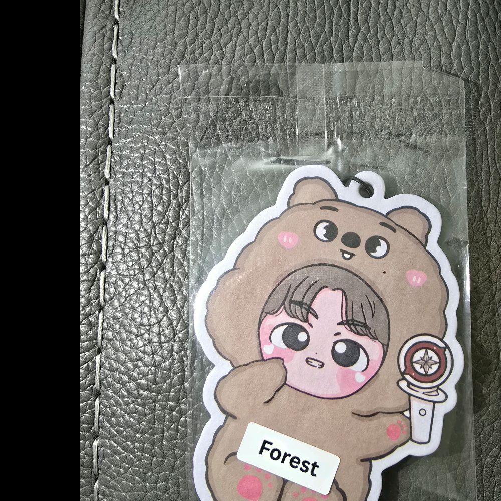 Stray Kids Kpop Theme Eco-Friendly Car Air Fresheners with upto 2+ Week Scents Reusable Absorbent Paper for Cars and Living Areas