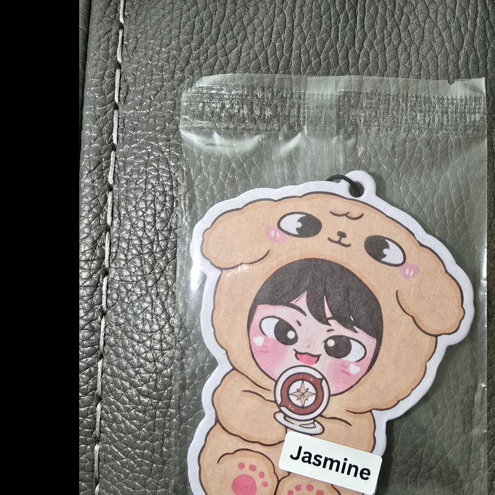 Stray Kids Kpop Theme Eco-Friendly Car Air Fresheners with upto 2+ Week Scents Reusable Absorbent Paper for Cars and Living Areas